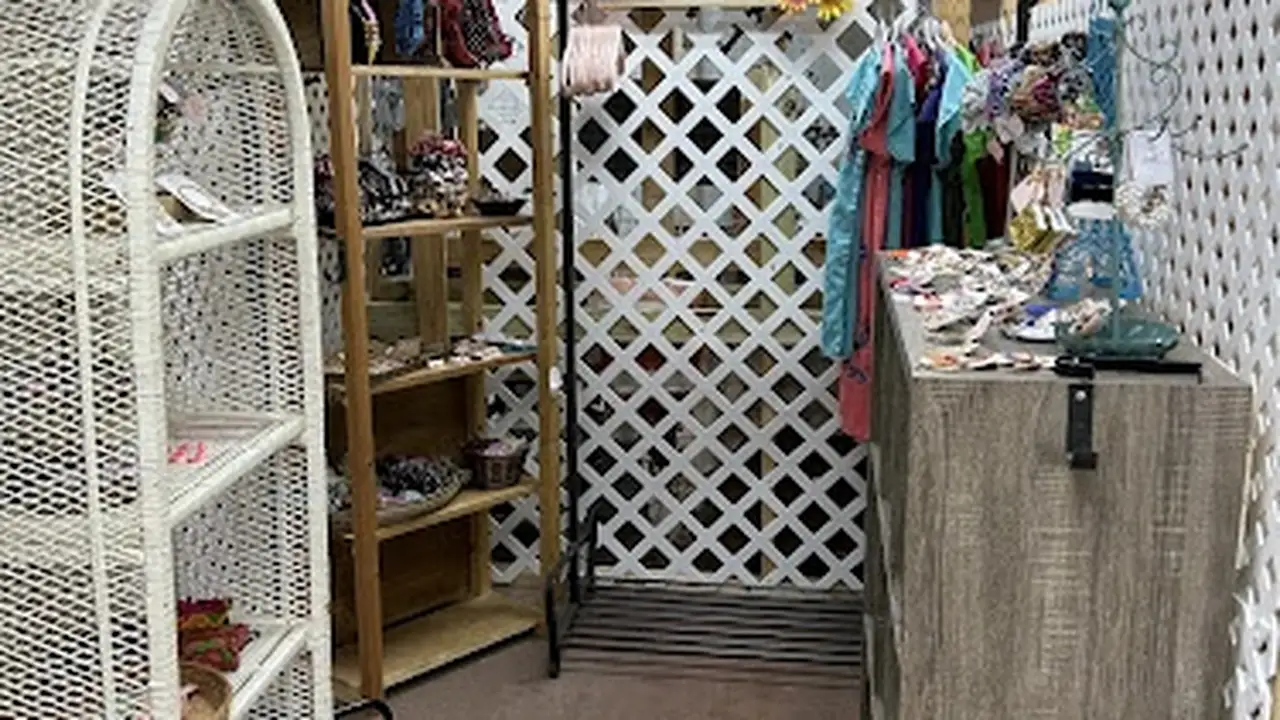 Consignment store in Ellerslie, Georgia: Backwood Bargains Ellerslie Ga 31807