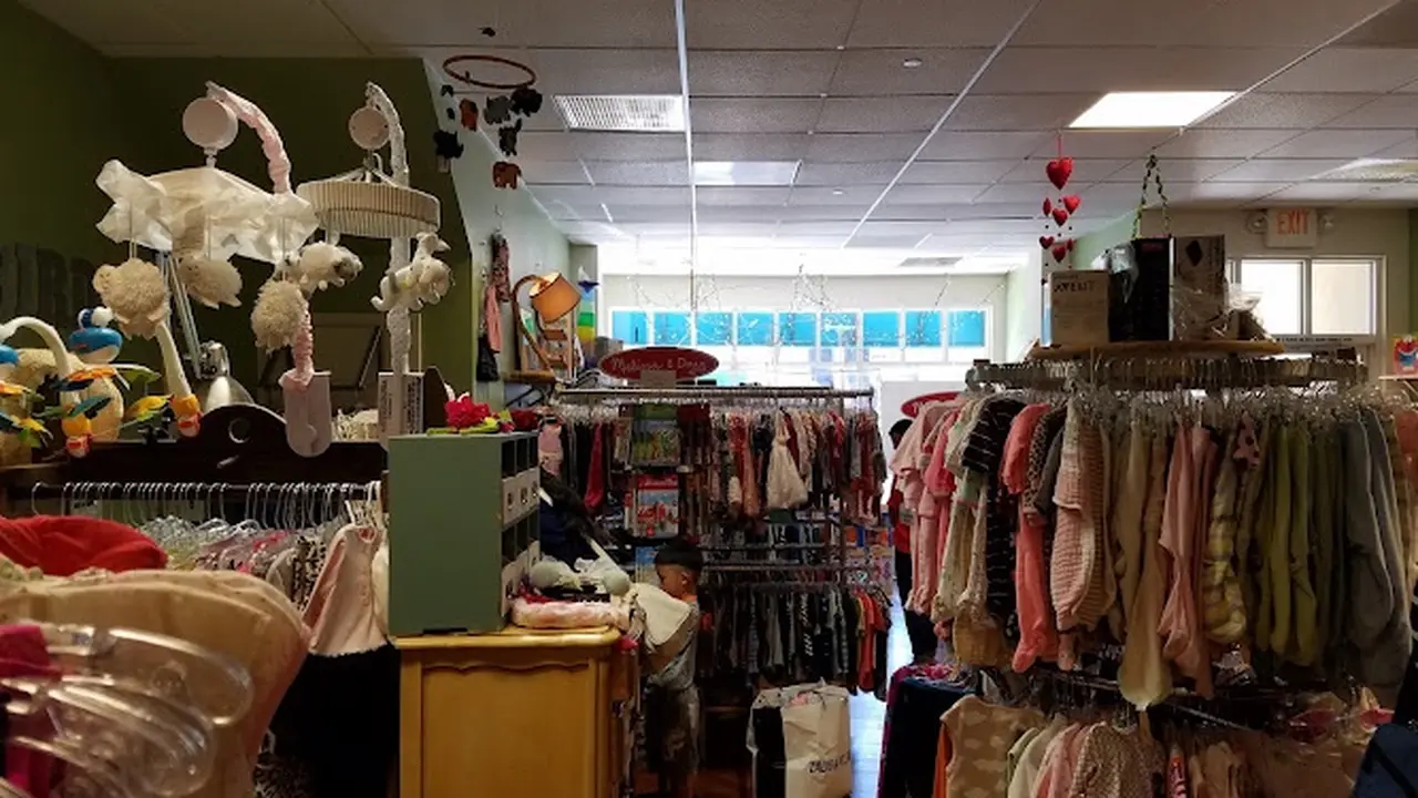 Consignment store in San Carlos, California: Bird in the Nest