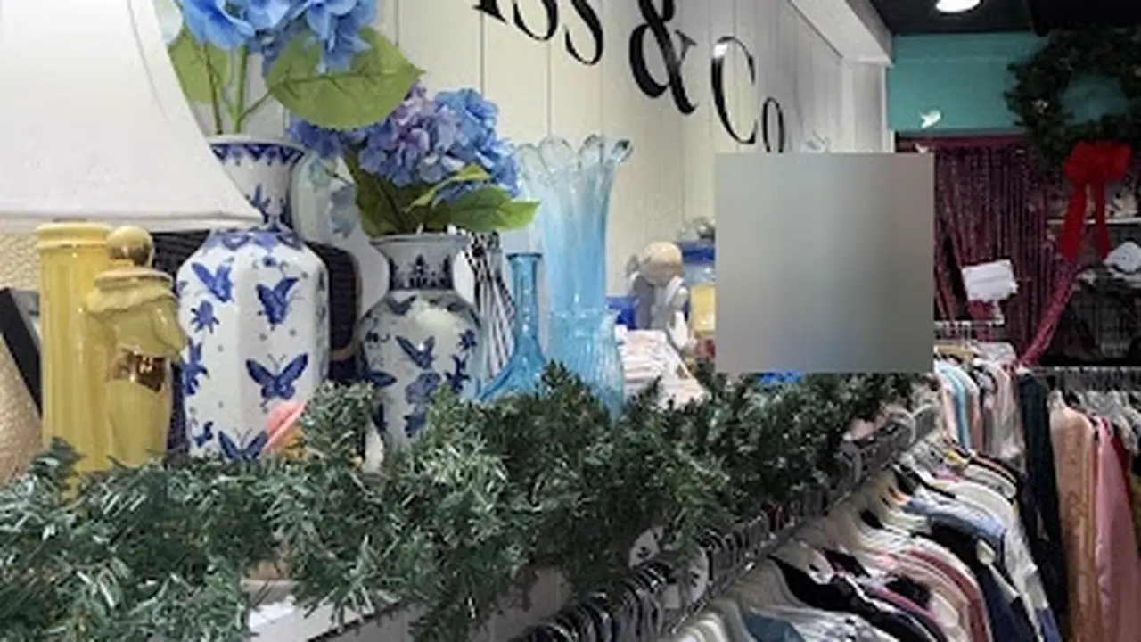 Consignment store in Dexter, Michigan: Cass & Co Thrift Shop