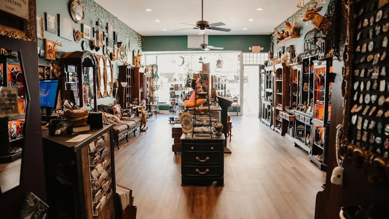 Consignment store in La Salle, Illinois: Chaos and Curiosities
