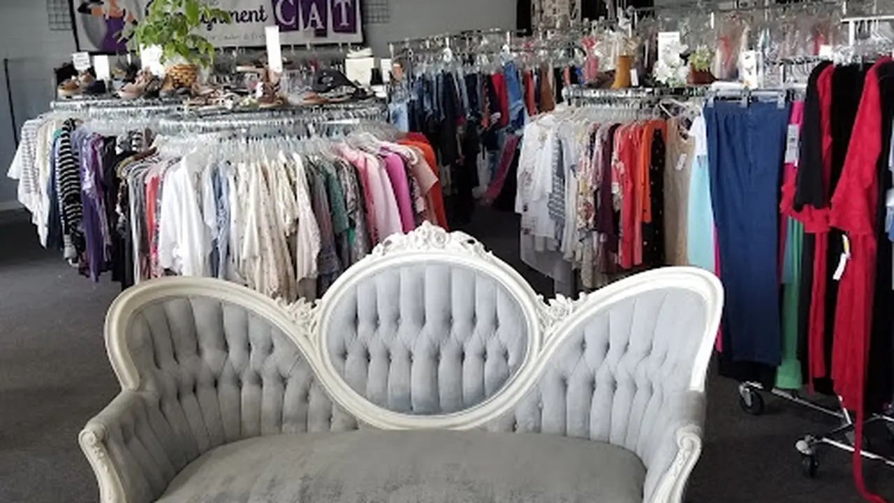 Consignment store in Enterprise, Alabama: Consignment Cat