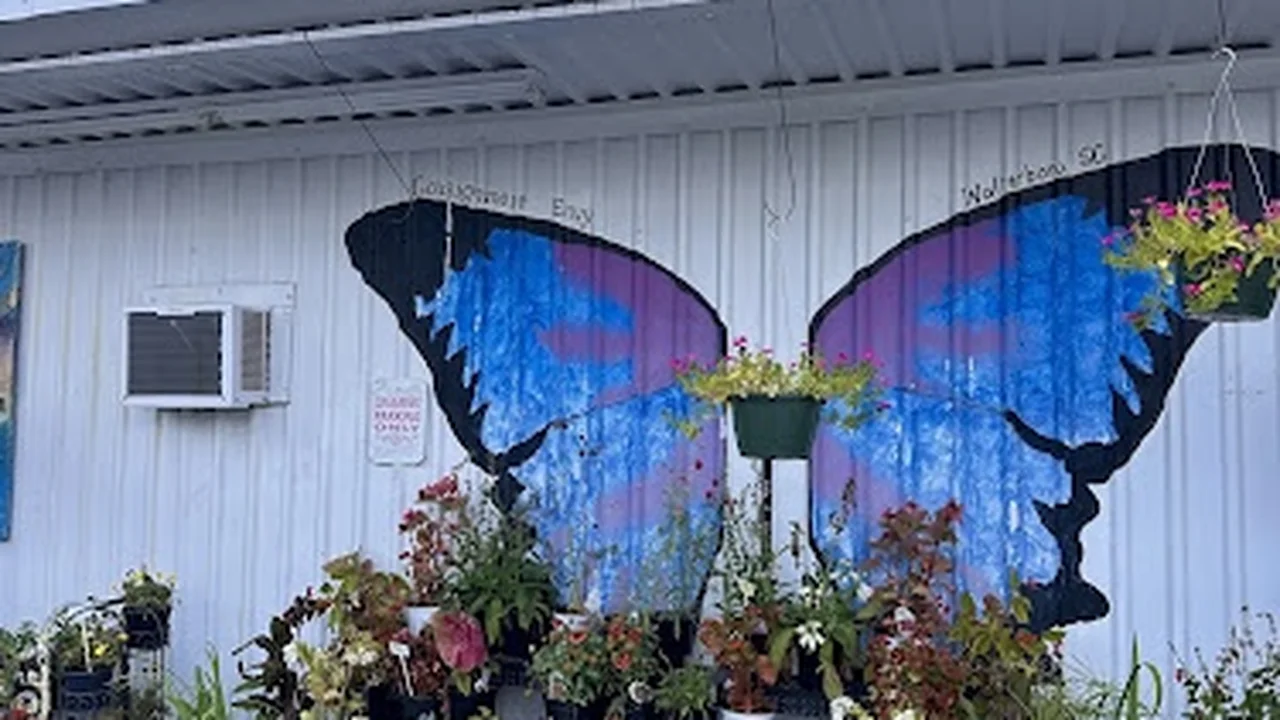 Consignment store in Walterboro, South Carolina: Consignment Envy