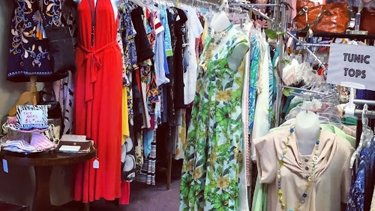 Consignment store in De Witt, New York: EcoChic Boutique