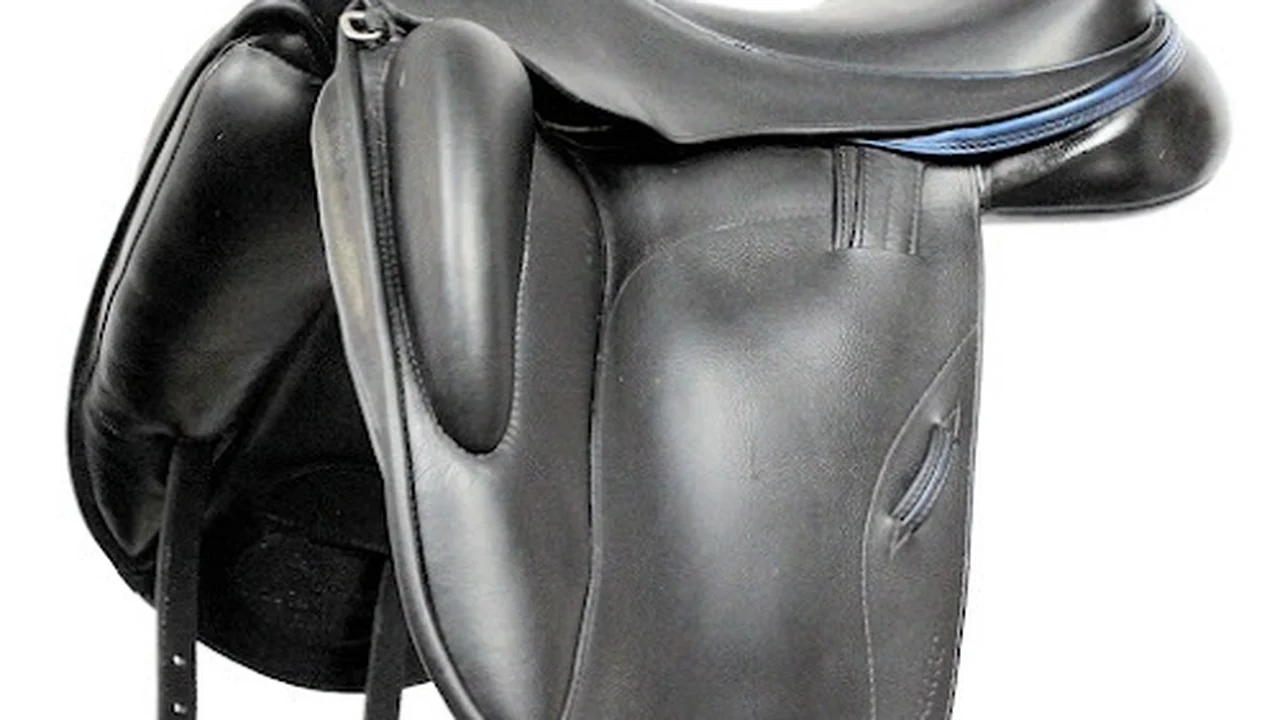 Consignment store in Ocala, Florida: Good Apple Equine Consignment
