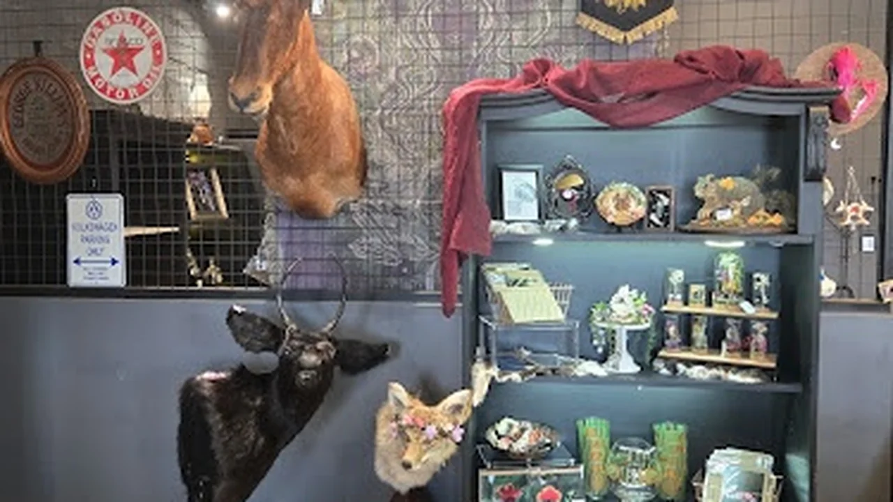 Consignment store in Brighton, Colorado: Odd Aly-Kat Emporium