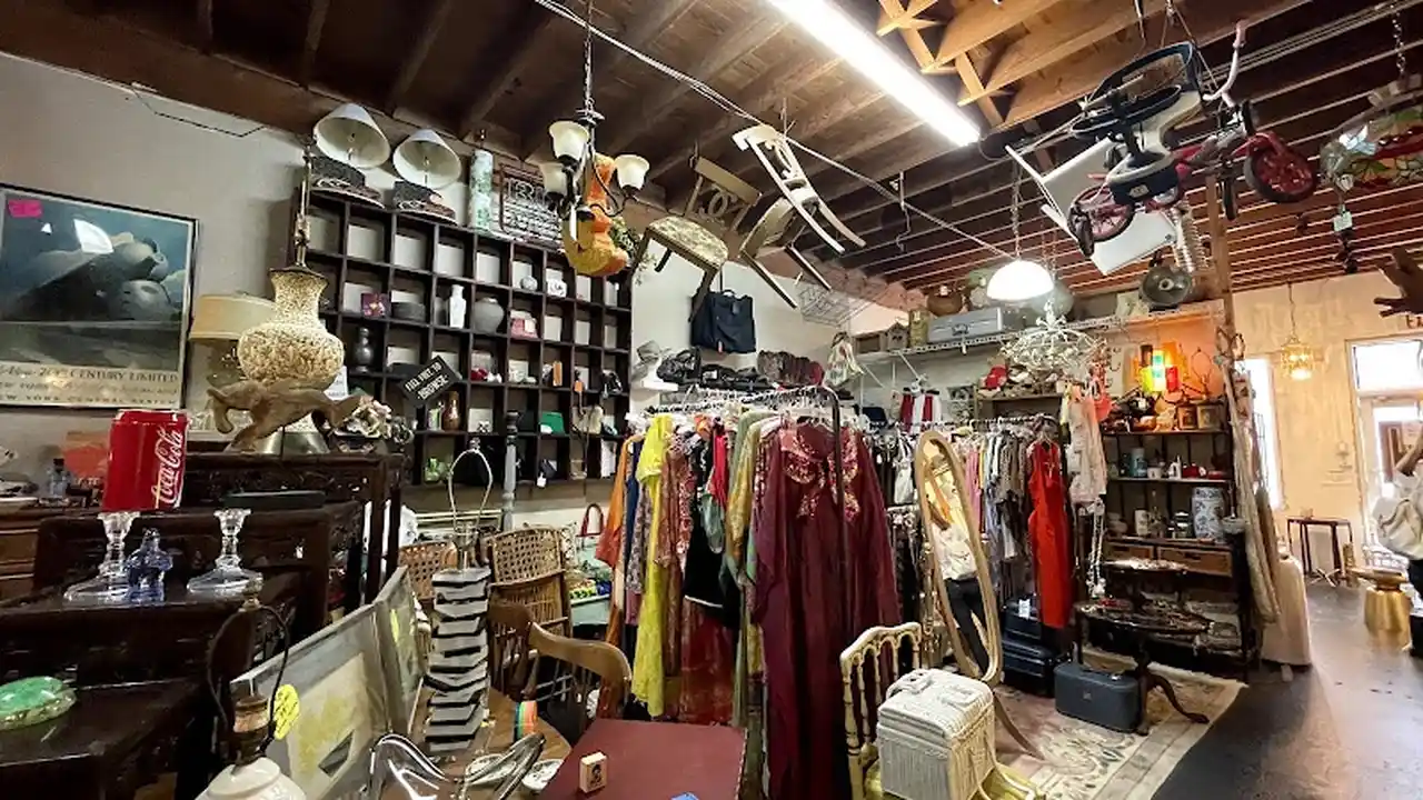 Consignment store in Oakland Park, Florida: OddBalls Nifty Thrift