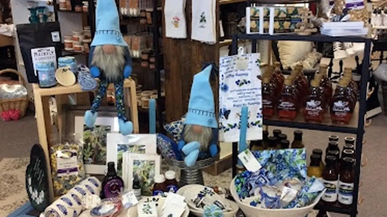 Consignment store in Bangor, Maine: The Not So Empty Nest