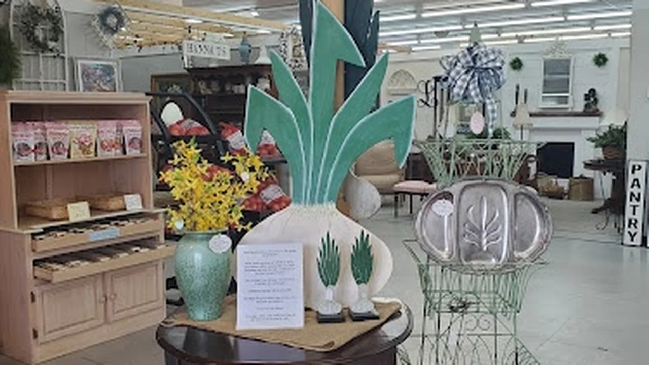 Consignment store in Lyons, Georgia: The Red Wagon Market